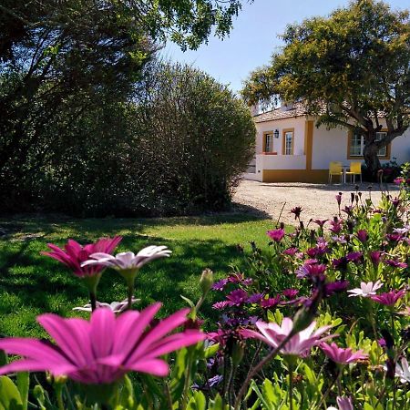 Casas Das Amoreiras 알데이아 두 메코 외부 사진